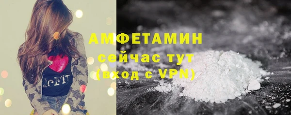 PSILOCYBIN Белокуриха
