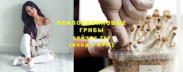 бошки Аркадак