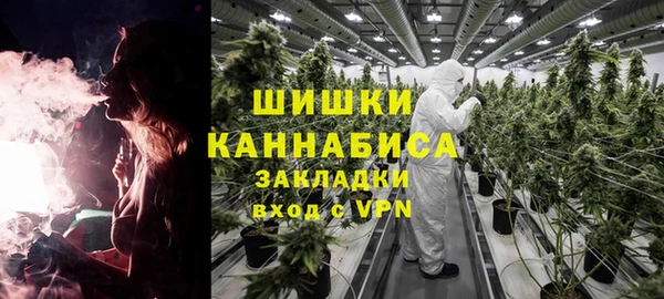 бошки Аркадак