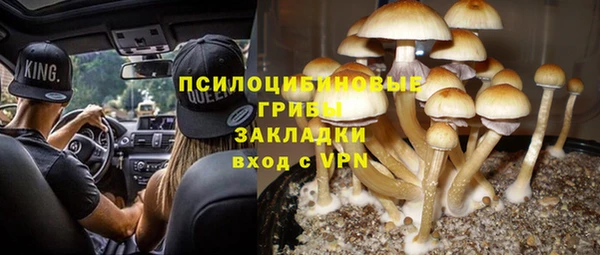 PSILOCYBIN Белокуриха