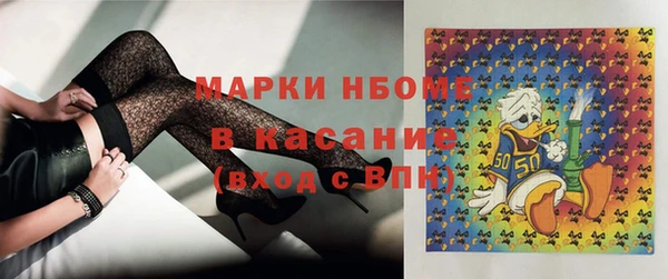 PSILOCYBIN Белокуриха